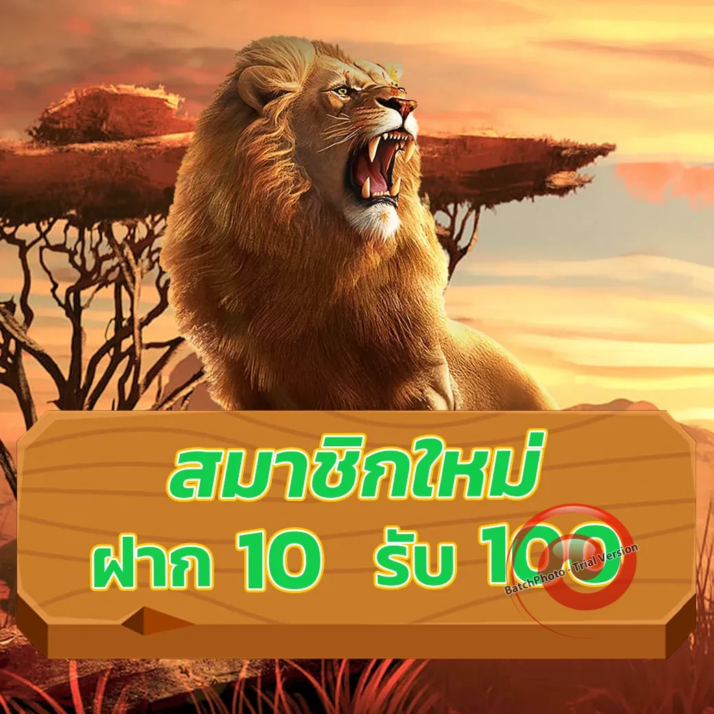 slot1bet เว็บตรง